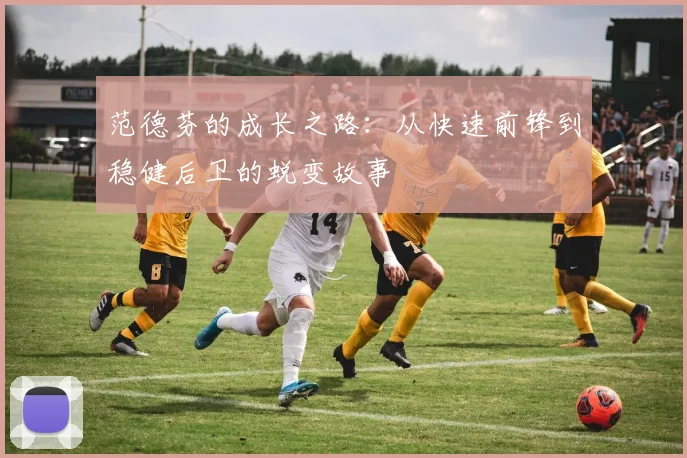 范德芬的成长之路：从快速前锋到稳健后卫的蜕变故事