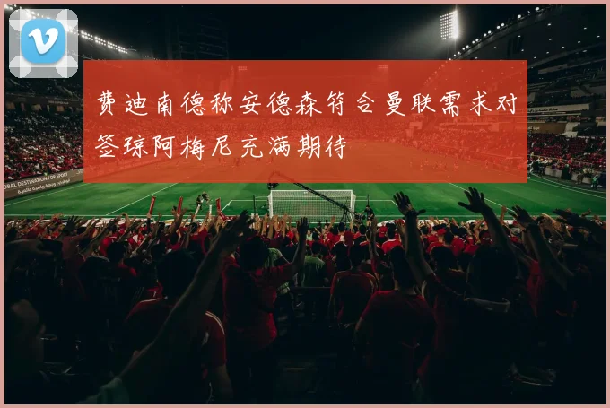费迪南德称安德森符合曼联需求对签琼阿梅尼充满期待