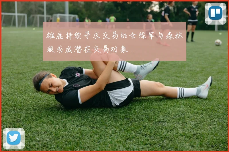 雄鹿持续寻求交易机会绿军与森林狼或成潜在交易对象