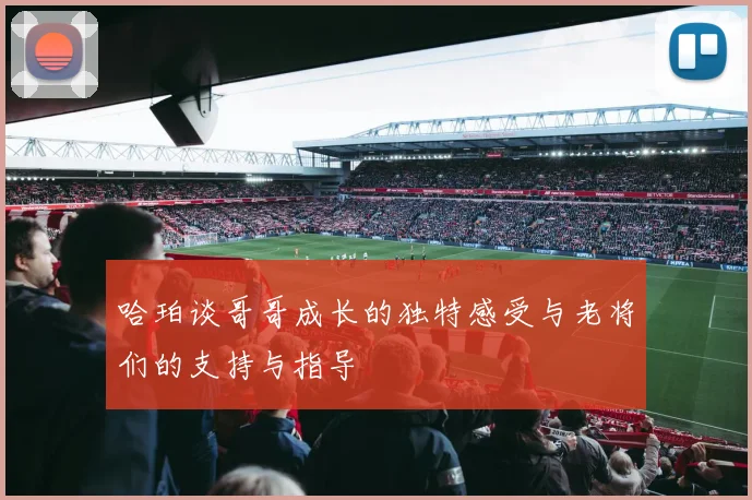 哈珀谈哥哥成长的独特感受与老将们的支持与指导